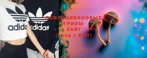 твердый Алексин